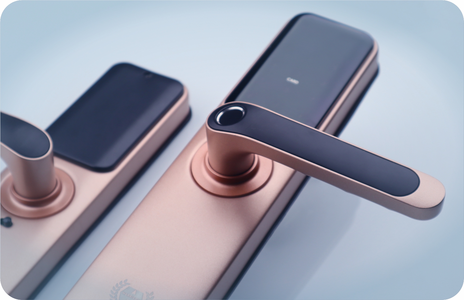 Biometric Locks